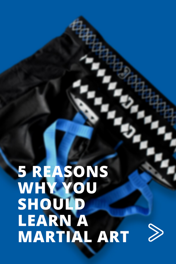 5 Reasons Why You Should Learn a Martial Art